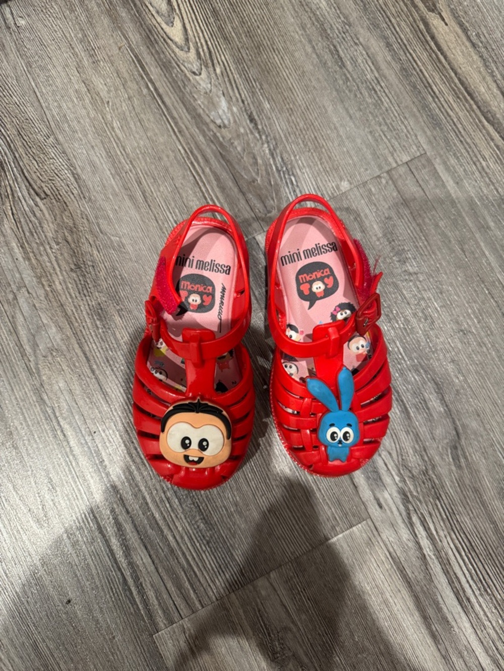 Mini Melissa Red Jelly Sandals with Character Charms